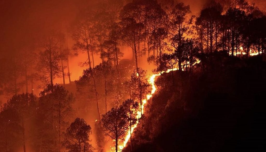 Simlipal Forest Fire